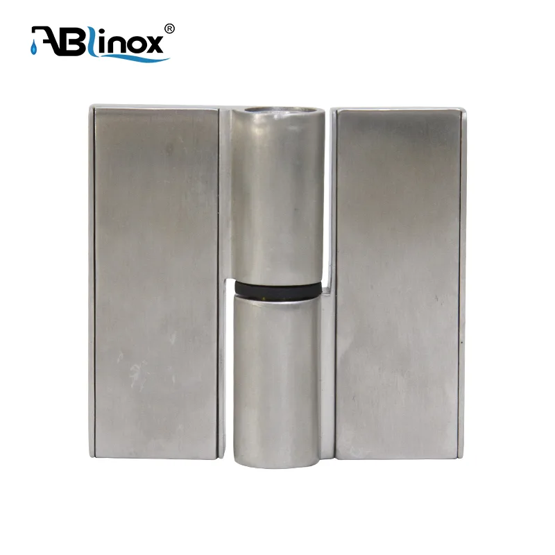 SS304/316 Stainless Steel Shower Glass Door Hinge