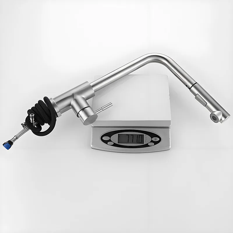304 Stainless Steel Pull-out Kitchen Faucet