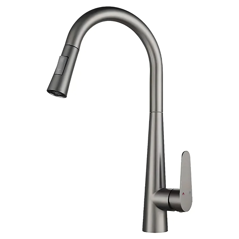 304 Stainless Steel pull-out kitchen faucet
