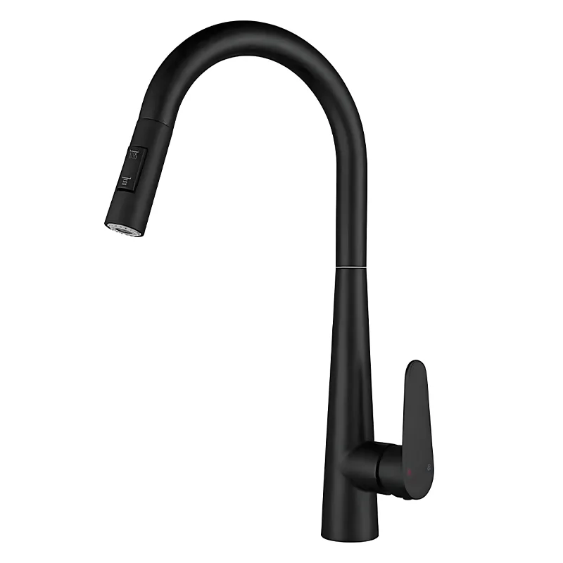304 Stainless Steel pull-out kitchen faucet