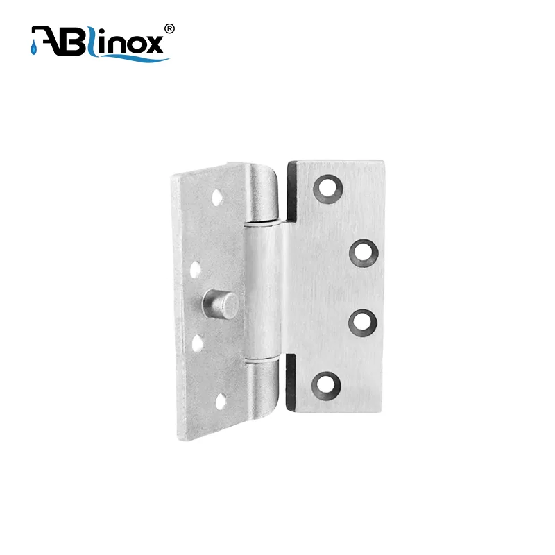 Custom Stainless Steel door hinge