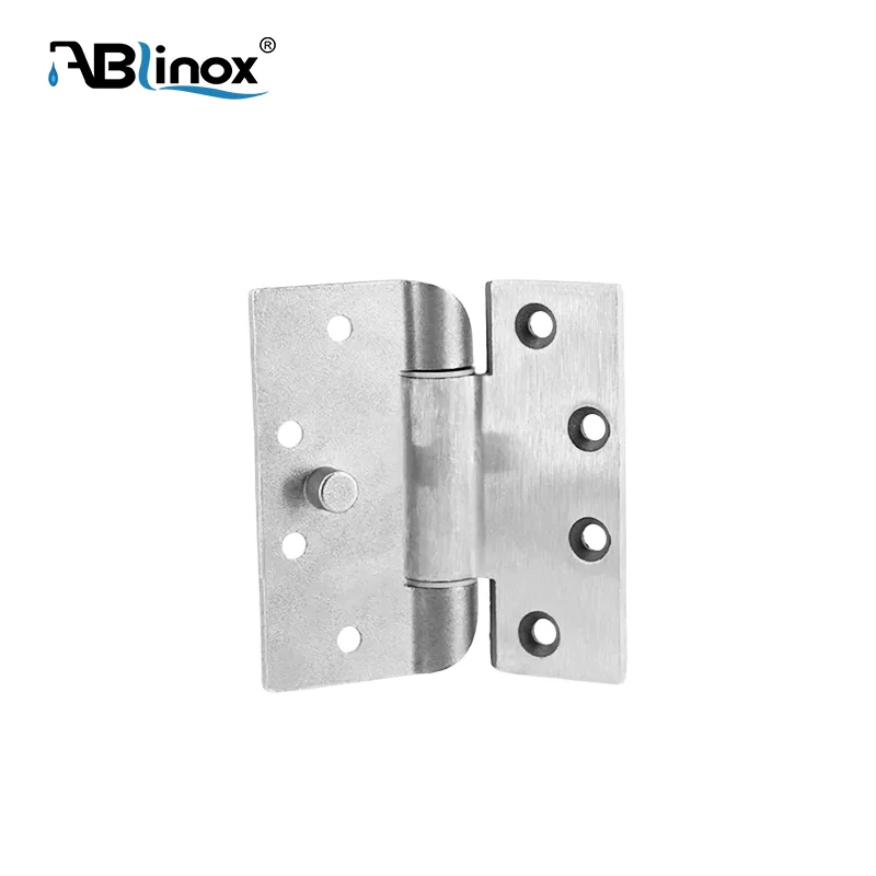 Custom Stainless Steel door hinge